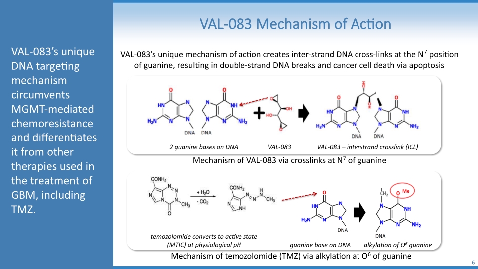 Slide 6